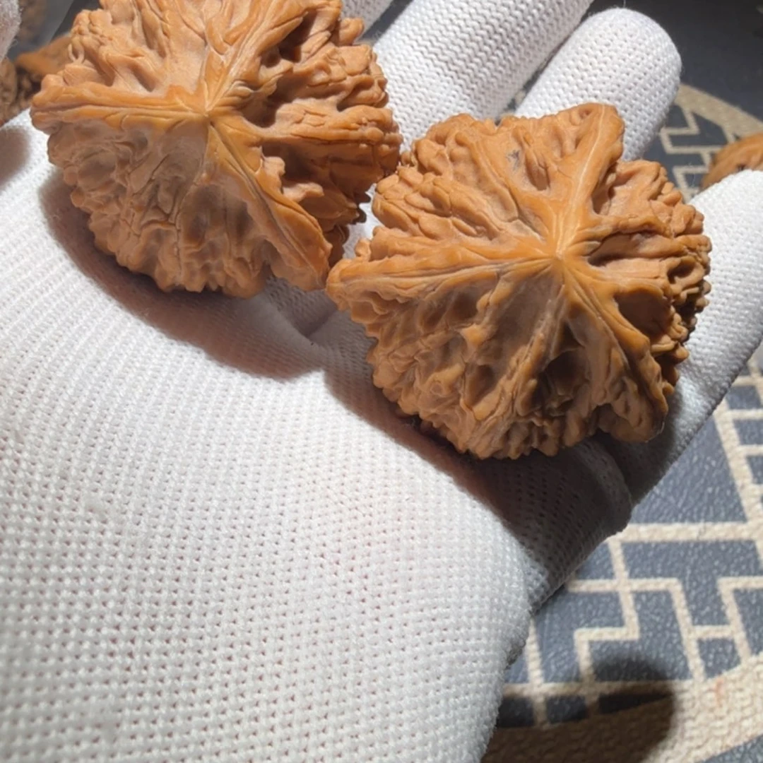 文玩核桃把件御龙正奔