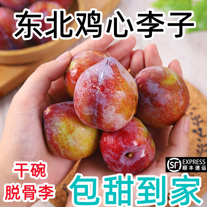 【包甜】新鲜吉盛干核牛心李子吉林干碗桃李子东北特产水果一份包邮