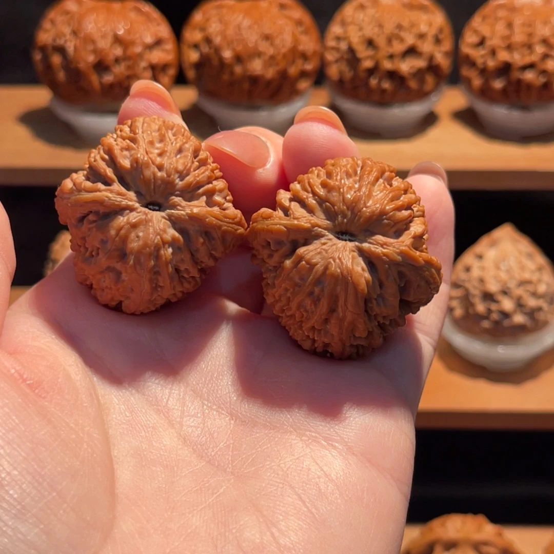 暮***寒大蒜头34精品大漏217