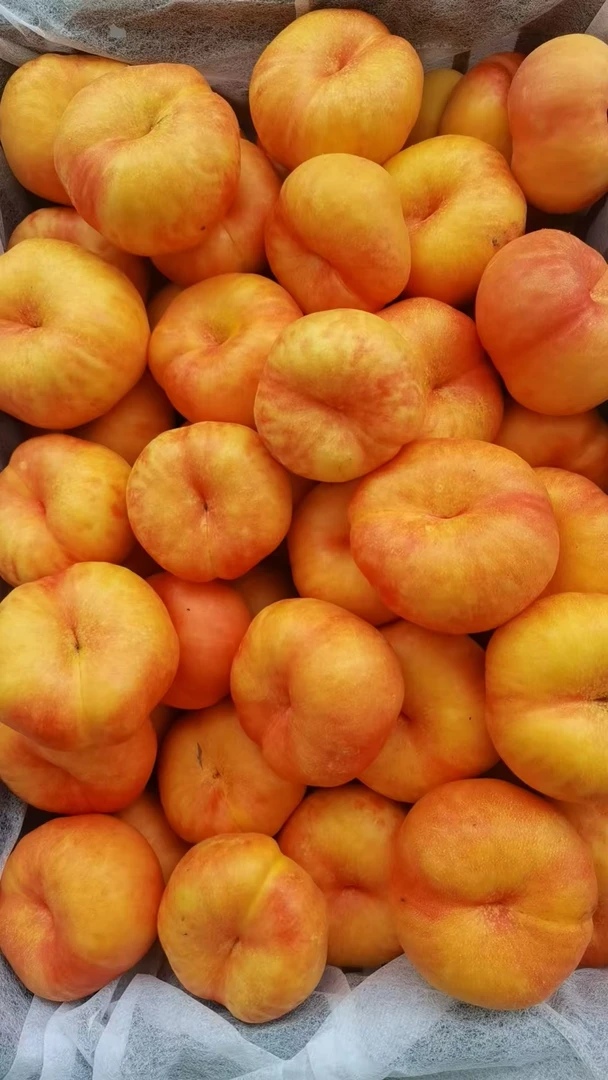 彩虹桃油桃新鲜采摘脆甜多汁应季水果