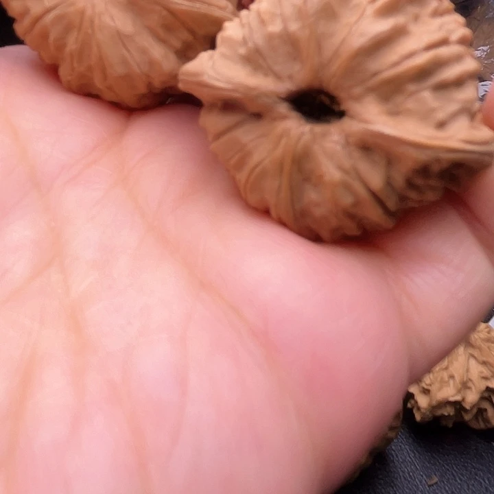 小*核桃核桃核桃核桃核桃