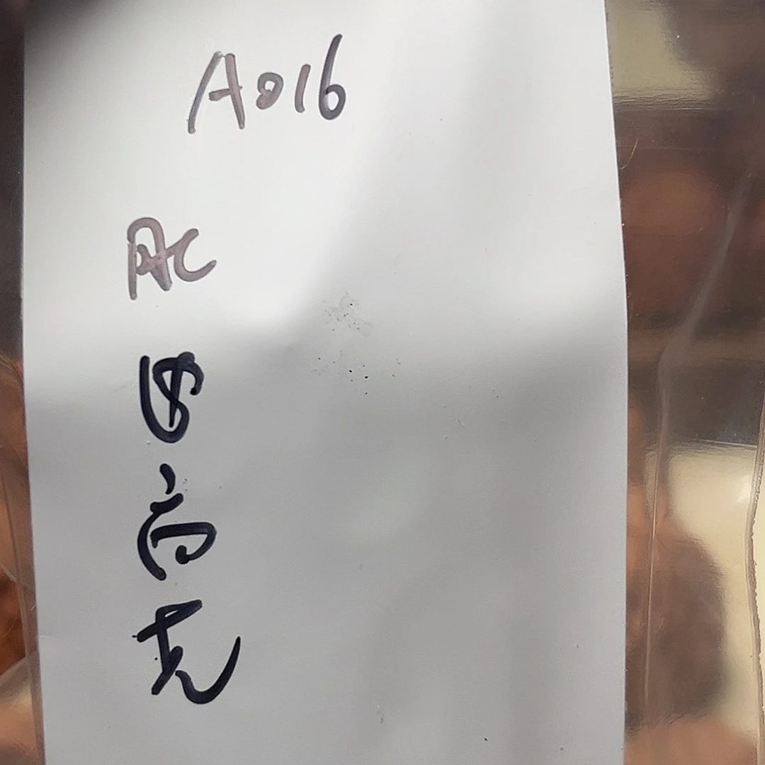 文玩核桃吊坠蛤蟆A016