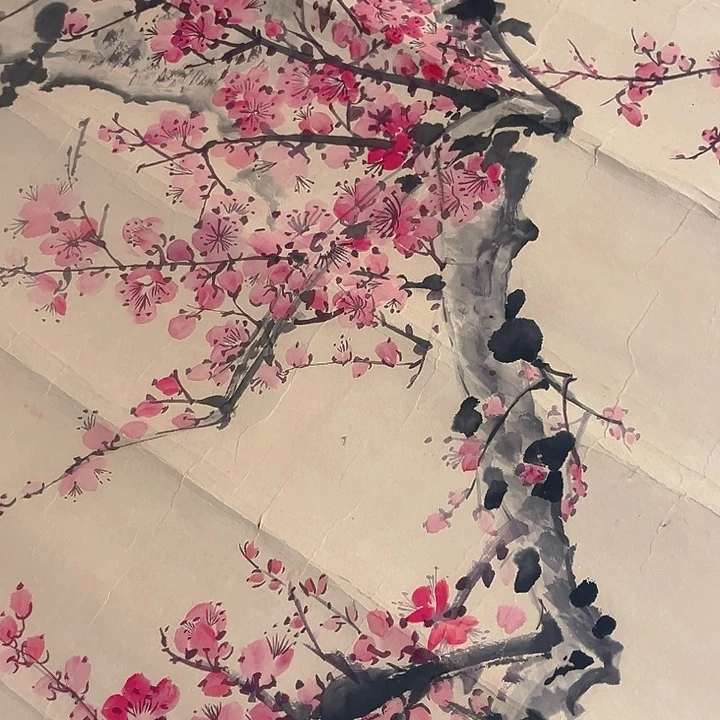 杂色豆（科檀/科特迪瓦檀木）曹*庆