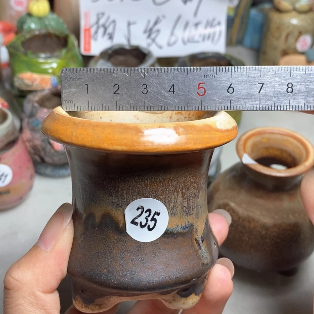拍5送一个小礼物