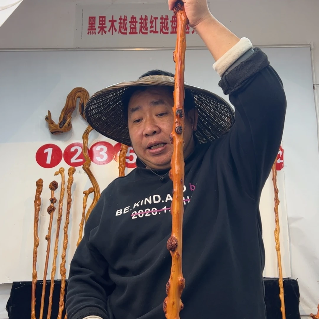 阿***猫黑果木其他黑果木218