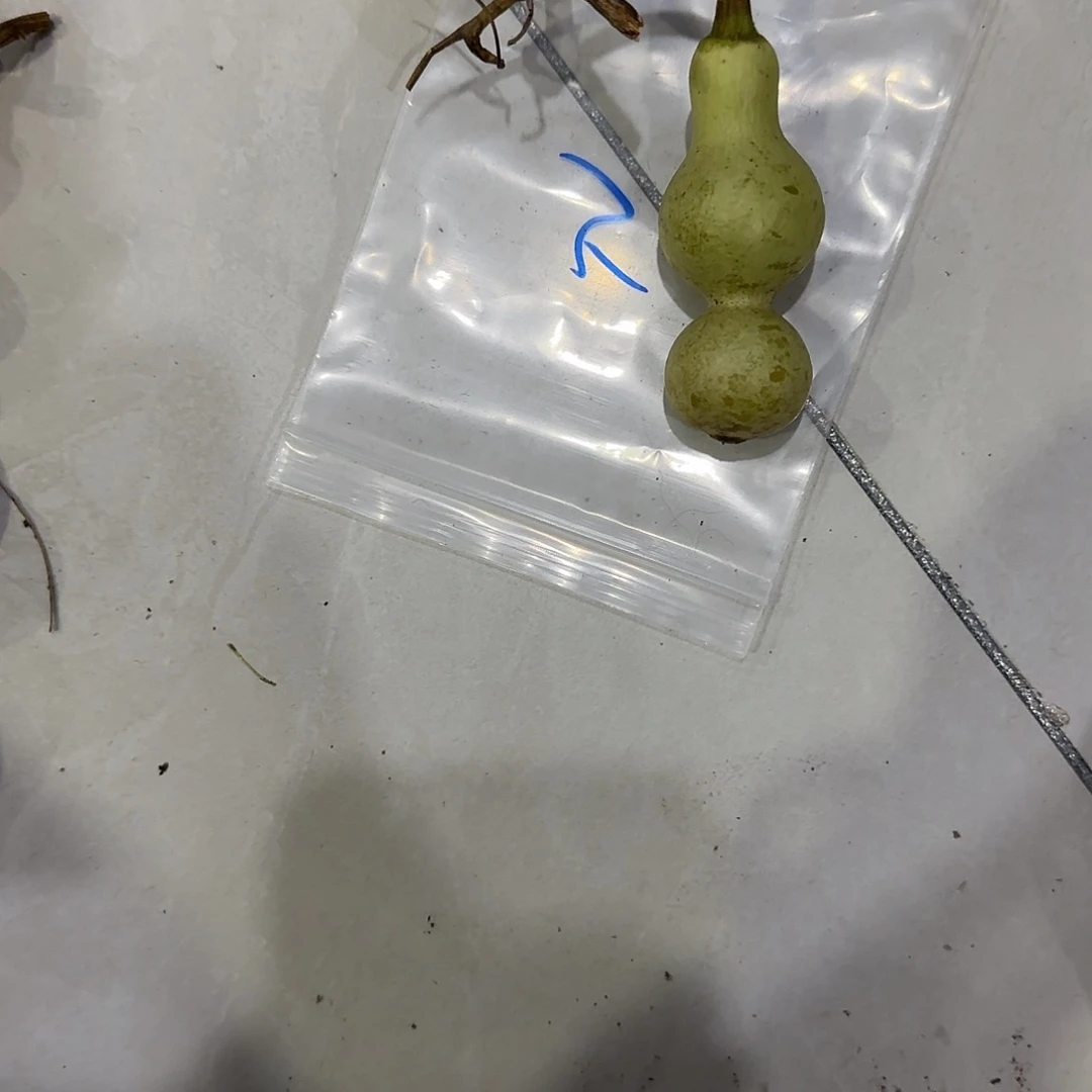 吉***祥青皮不包青皮不包成