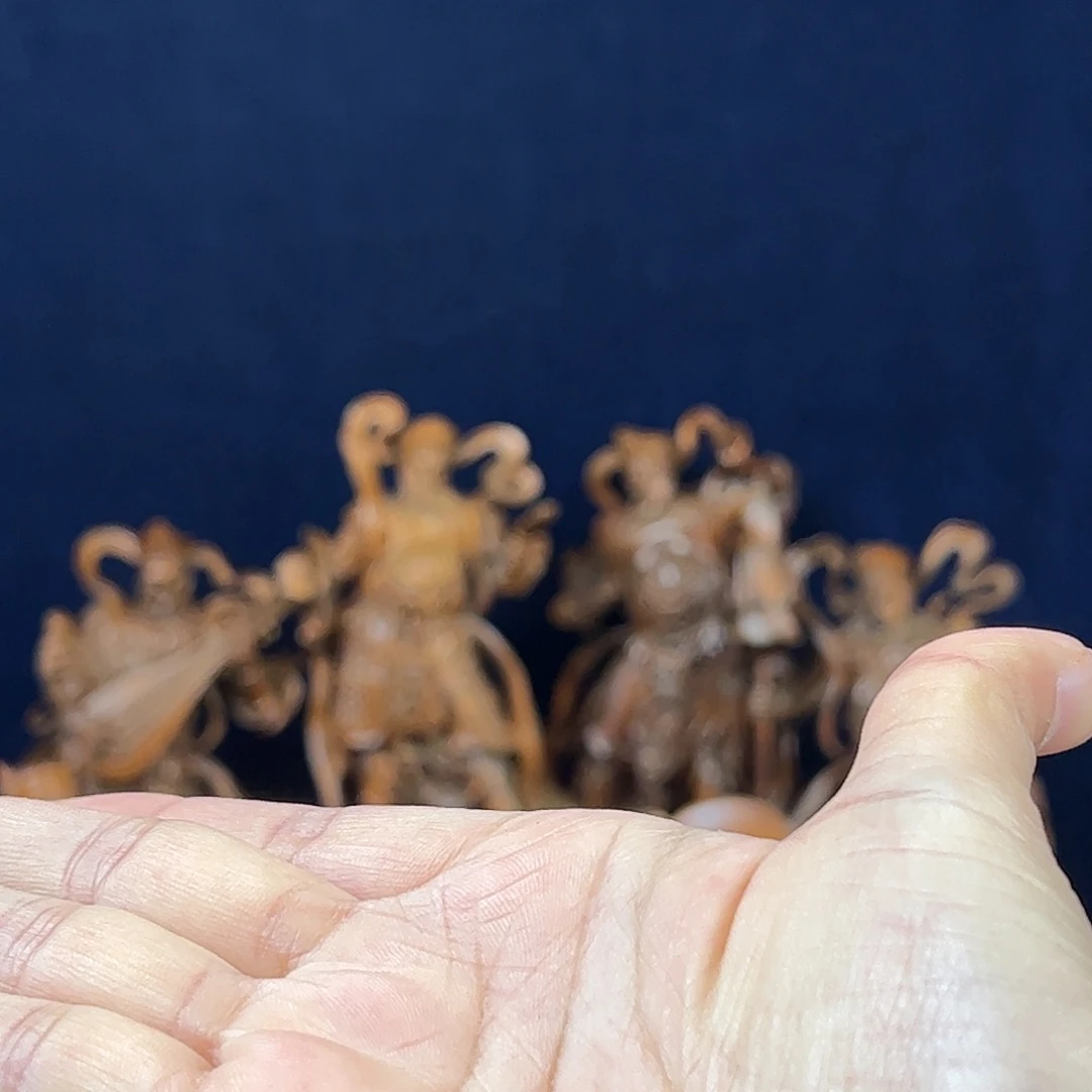 黄杨木六*小叶黄杨木