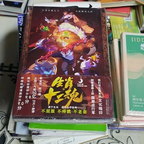 生肖十二魂平装库存书