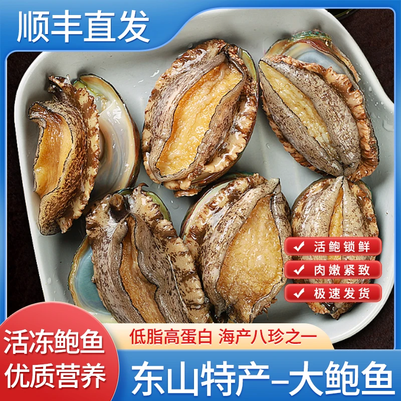 蝶岛海歌东山岛6-7头鲍约6.5-8cm海鲜水产速冻锁鲜鲍鱼冷链鲜嫩