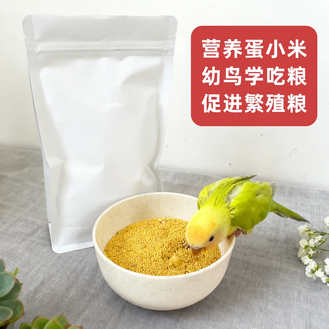 大白袋幼鸟学吃粮营养蛋小米250g促进成鸟繁殖日常补充营养