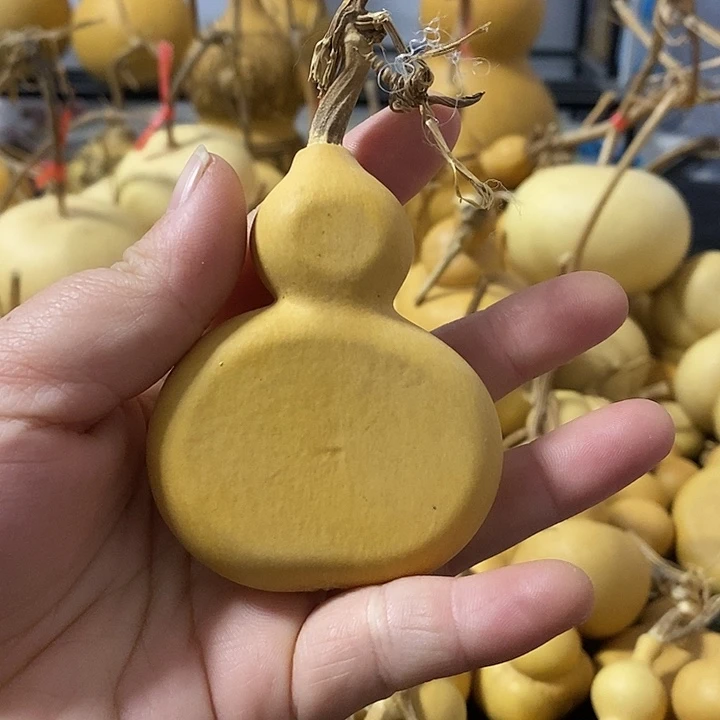 葫芦的颜色很好看