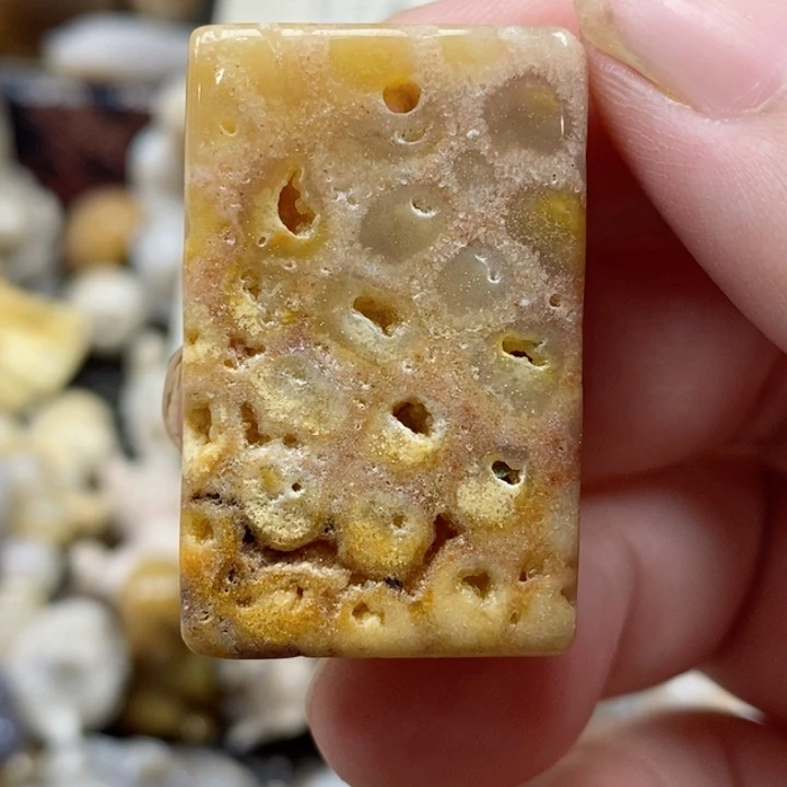 颈饰未镶嵌硅化珊瑚（珊瑚玉）有瑕 小