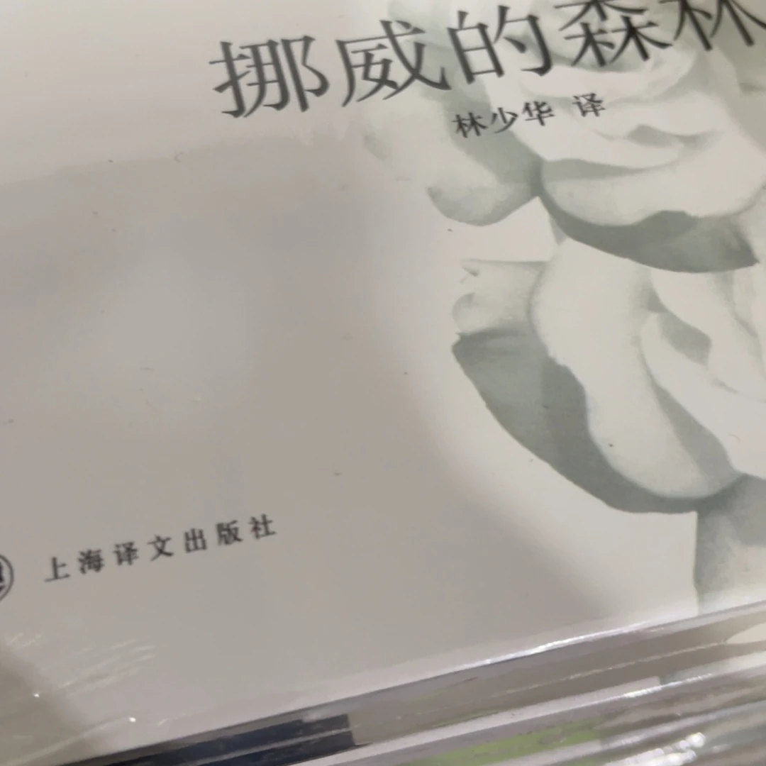 挪威的森林精装一个