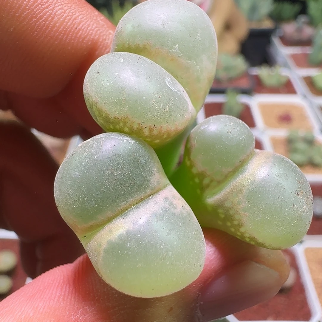 大降价福利来啦565