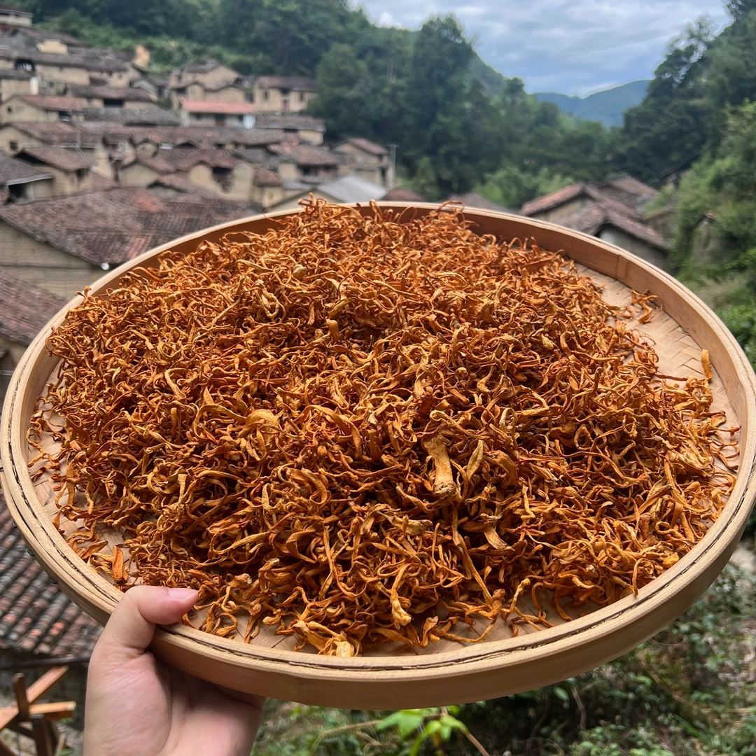 高山 农家 虫草花