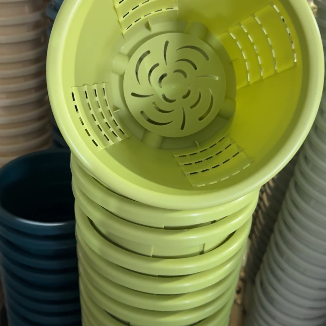 测3#口径25无拖果绿5个