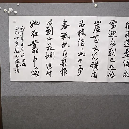 书法风雨送春归是横幅多多字书法作