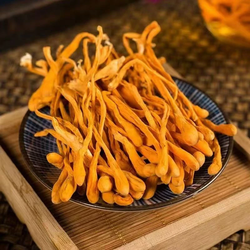 精品虫草花煲汤煲鸡煲鸭煲排骨 味道鲜美营养