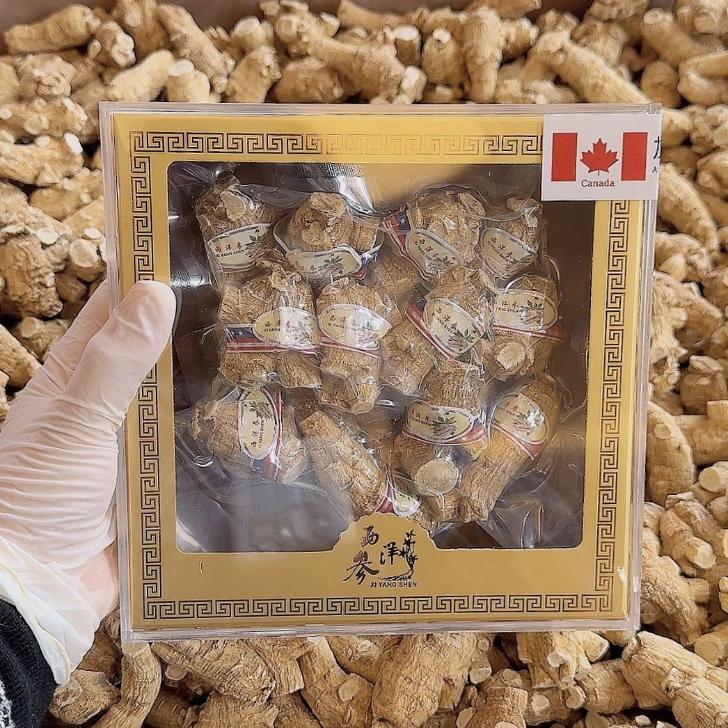 好礼特惠 加拿大西洋参花旗参 半斤250克 15克/支 送长辈客户健康