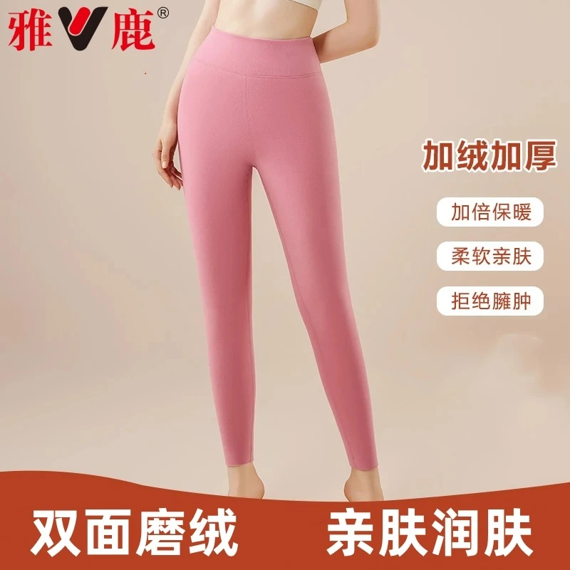 雅鹿内衣女士秋裤保暖裤修身裤打底裤高腰加绒加厚内穿衬裤秋冬季