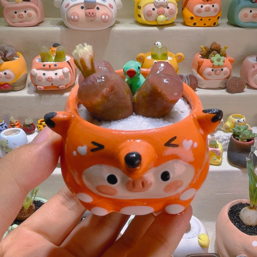 017高端多肉带盆带土手工盆