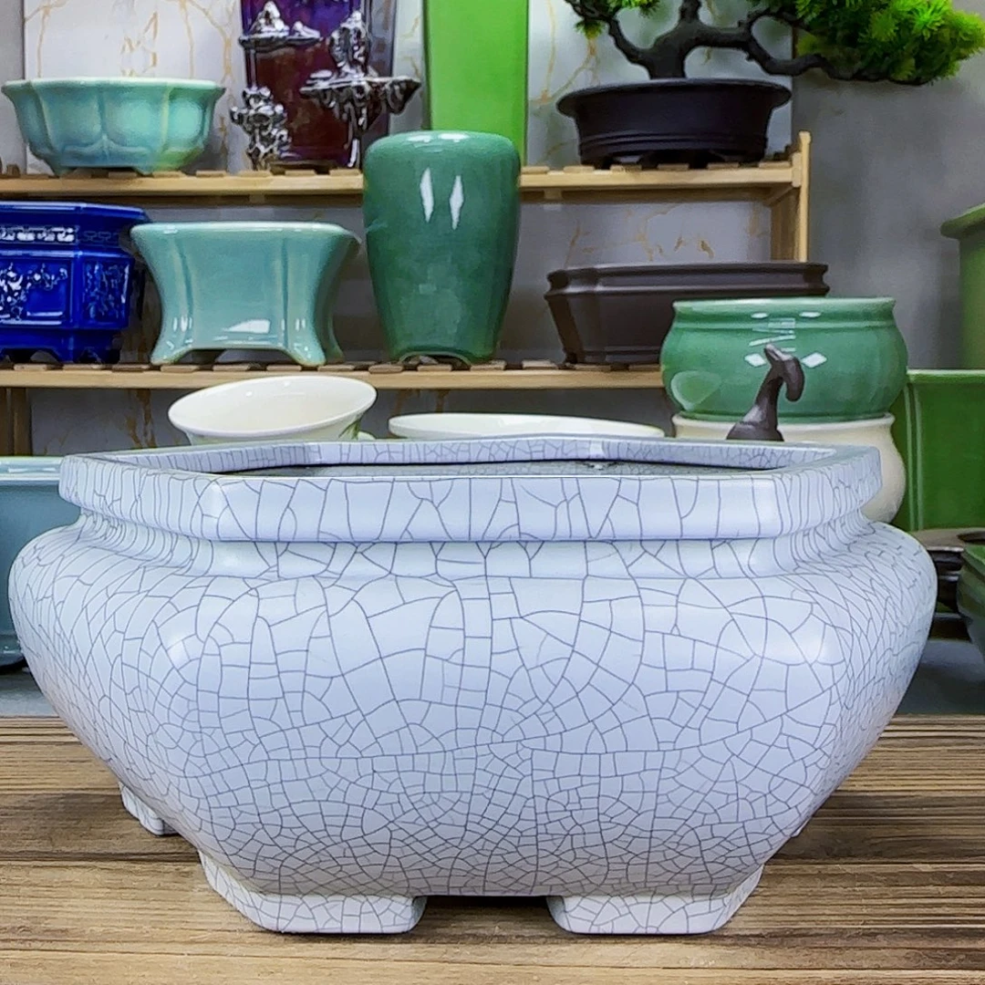 陶瓷花盆特价上新