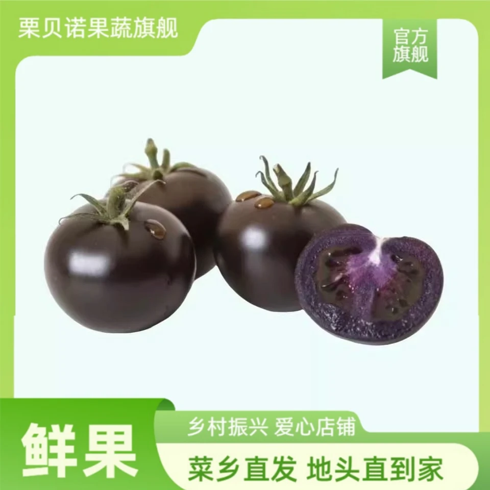 黑珍珠小番茄新鲜黑色即食柿子圣女果5紫色小西红柿樱桃