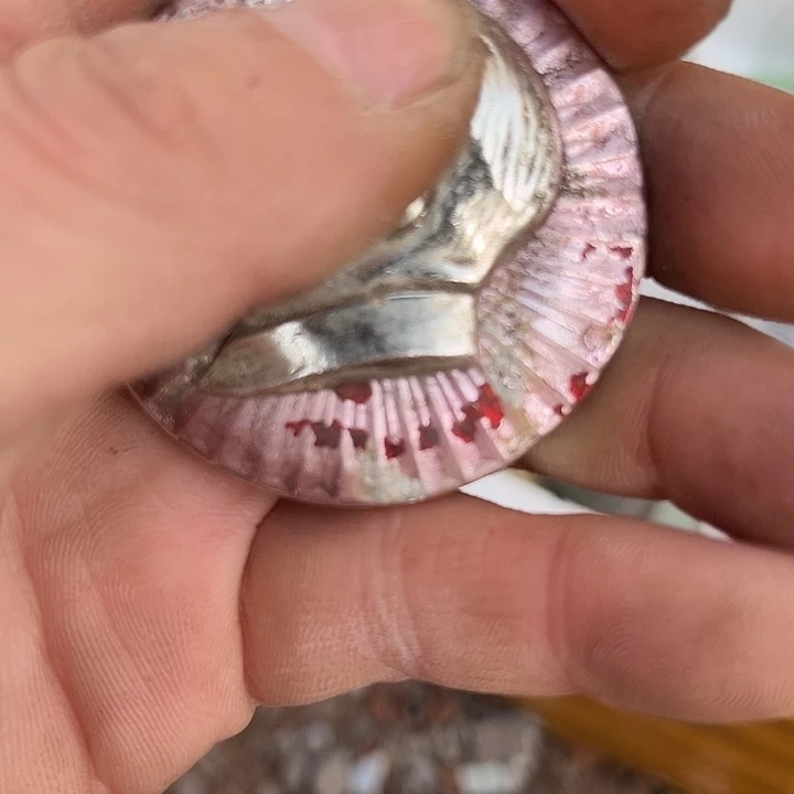 月***胧杂色豆（科檀/科特迪瓦檀木）