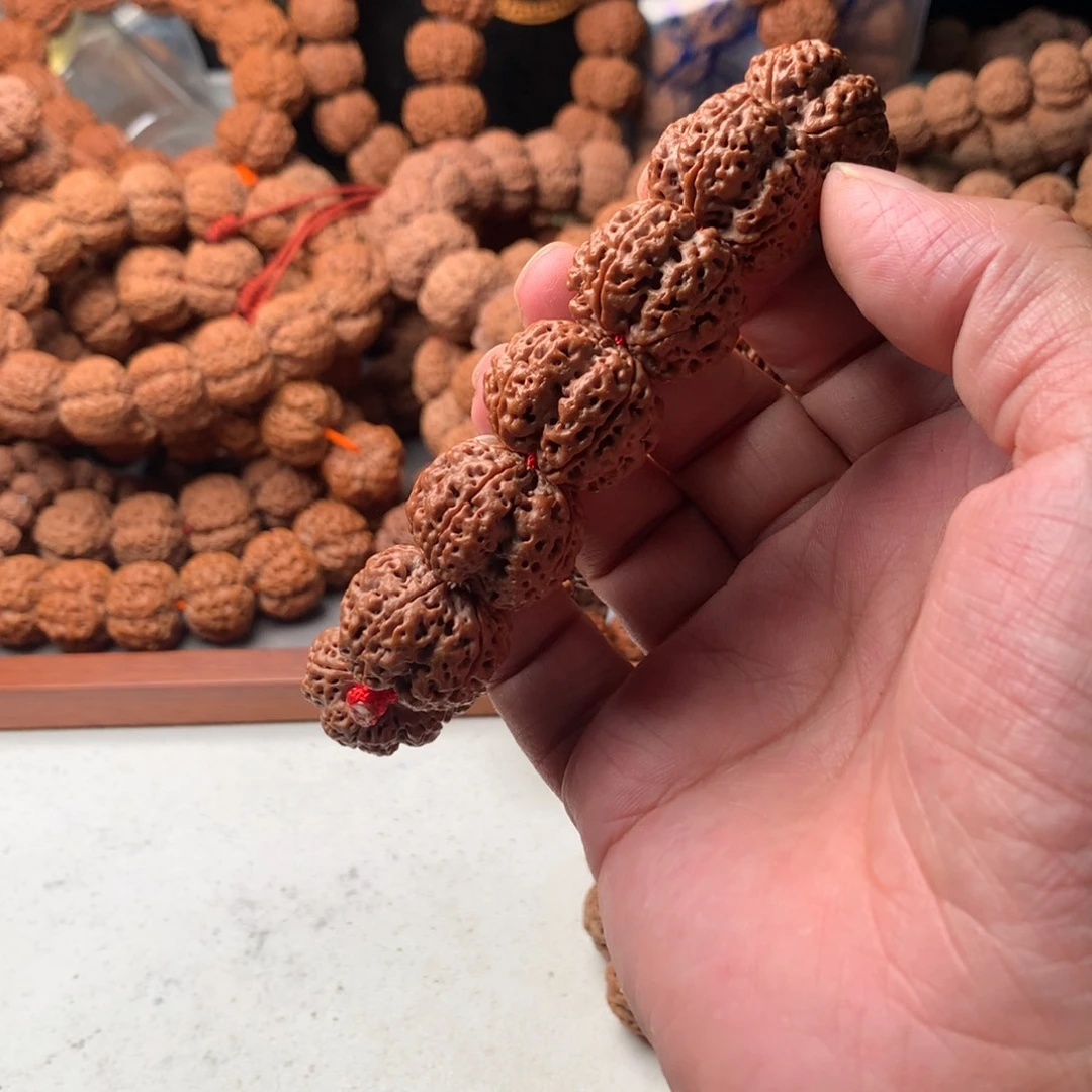 子***豆手串金刚菩提23龙牙