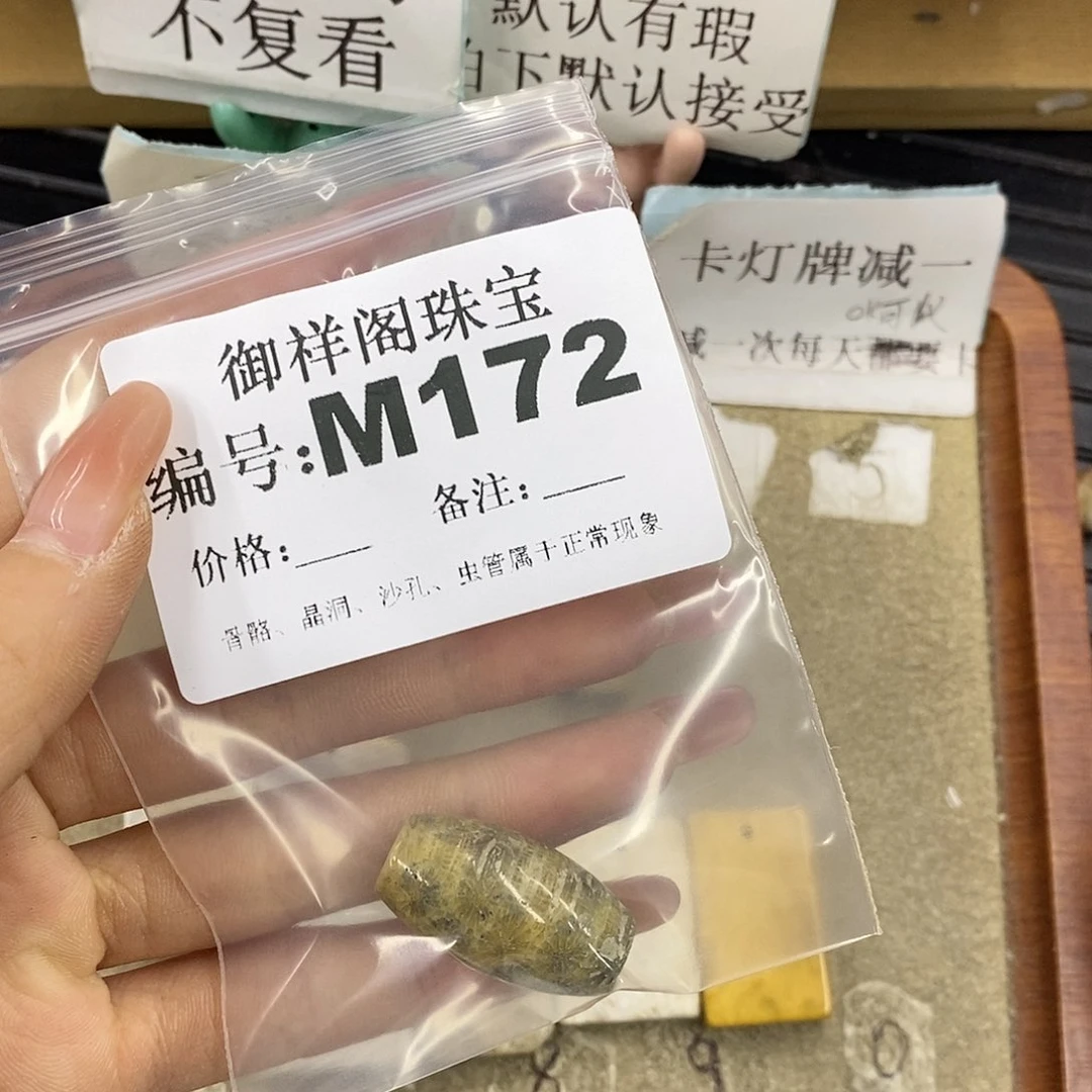 硅化珊瑚（珊瑚玉）未镶嵌颈饰天***雁