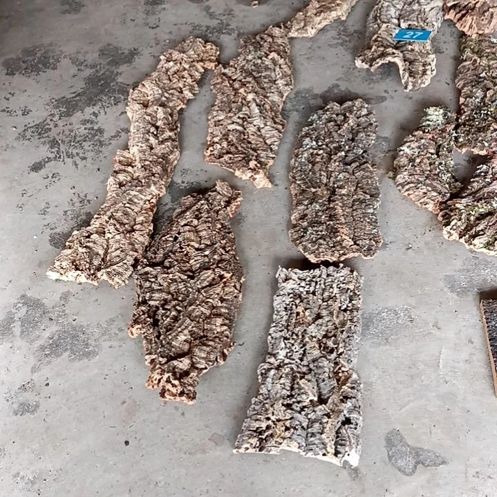 一物一拍一物一发