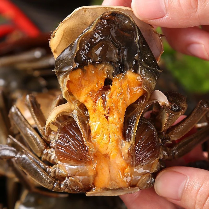 【单只四两左右】即食醉毛蟹 生腌毛蟹纯母生呛蟹 渤海湾海鲜咸蟹