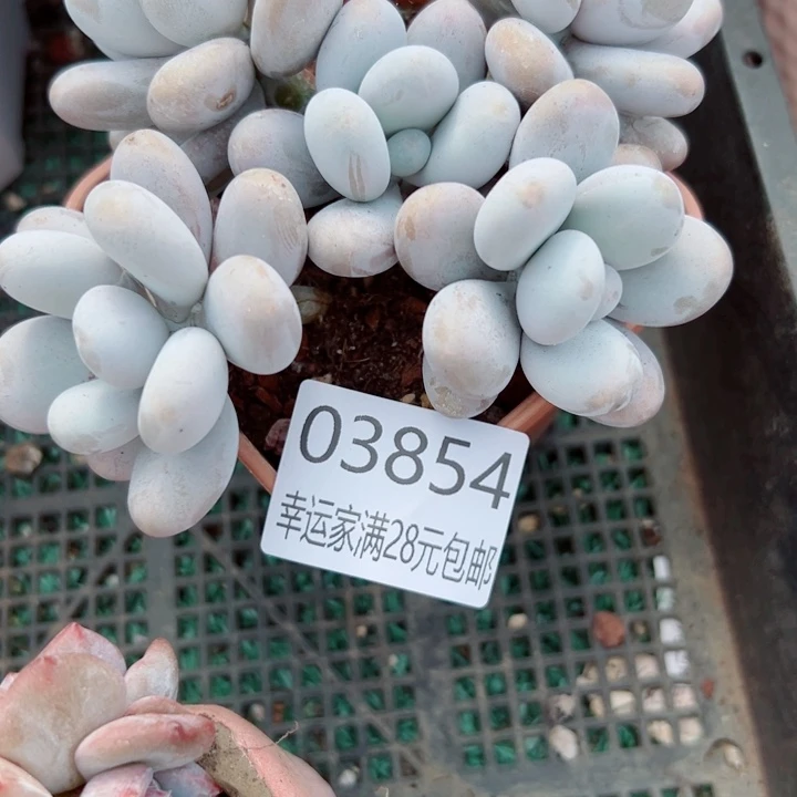 幸运的是我没有遇到过这么