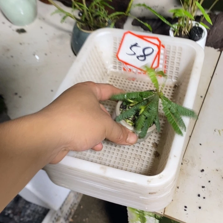 一***子完全开放退款拉黑58