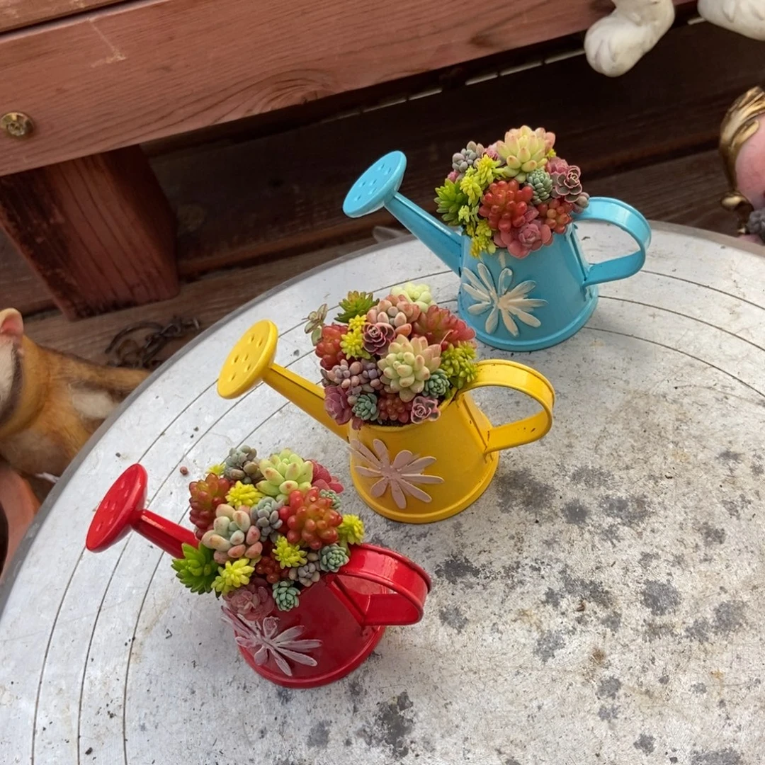 3个小水壶成品种好发货