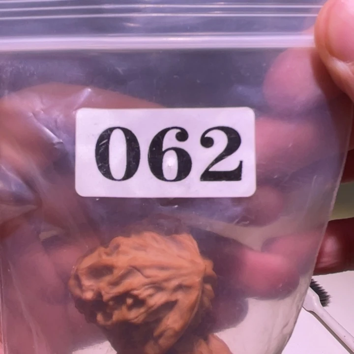 l***3吊坠文玩核桃062龙鳞