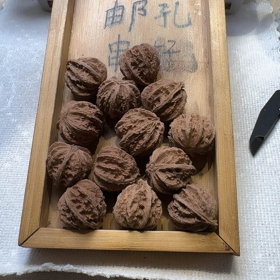 核桃手串/手链68号边肚高26