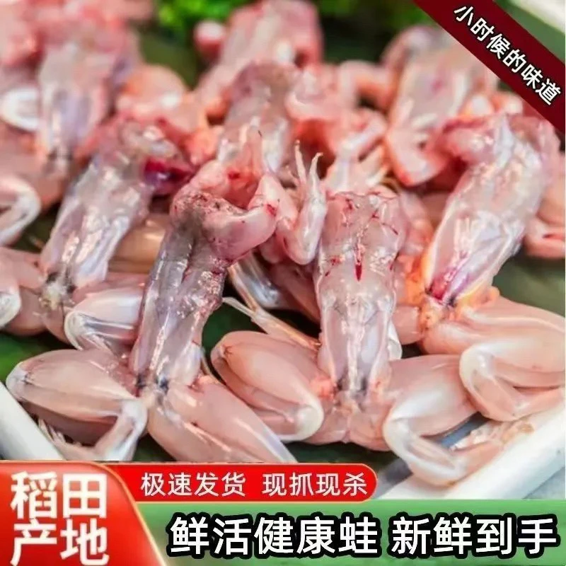 (现杀现发)新鲜现杀青蛙肉非牛蛙稻田养殖火锅烧烤食材真空包装