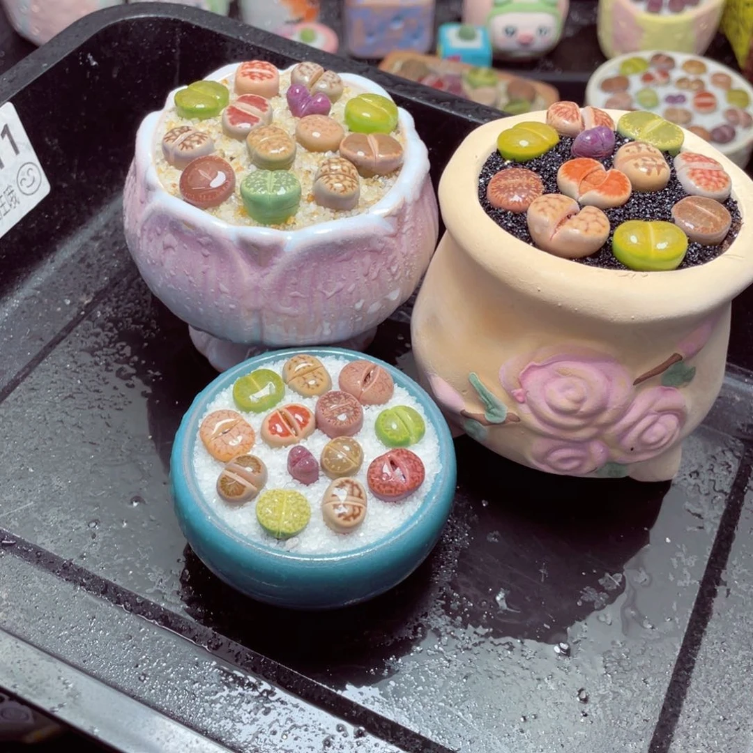 w11111-一份三盆量拍