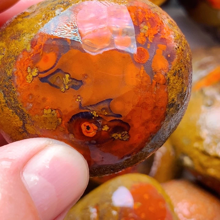 定制玛瑙黄**:定制牌子