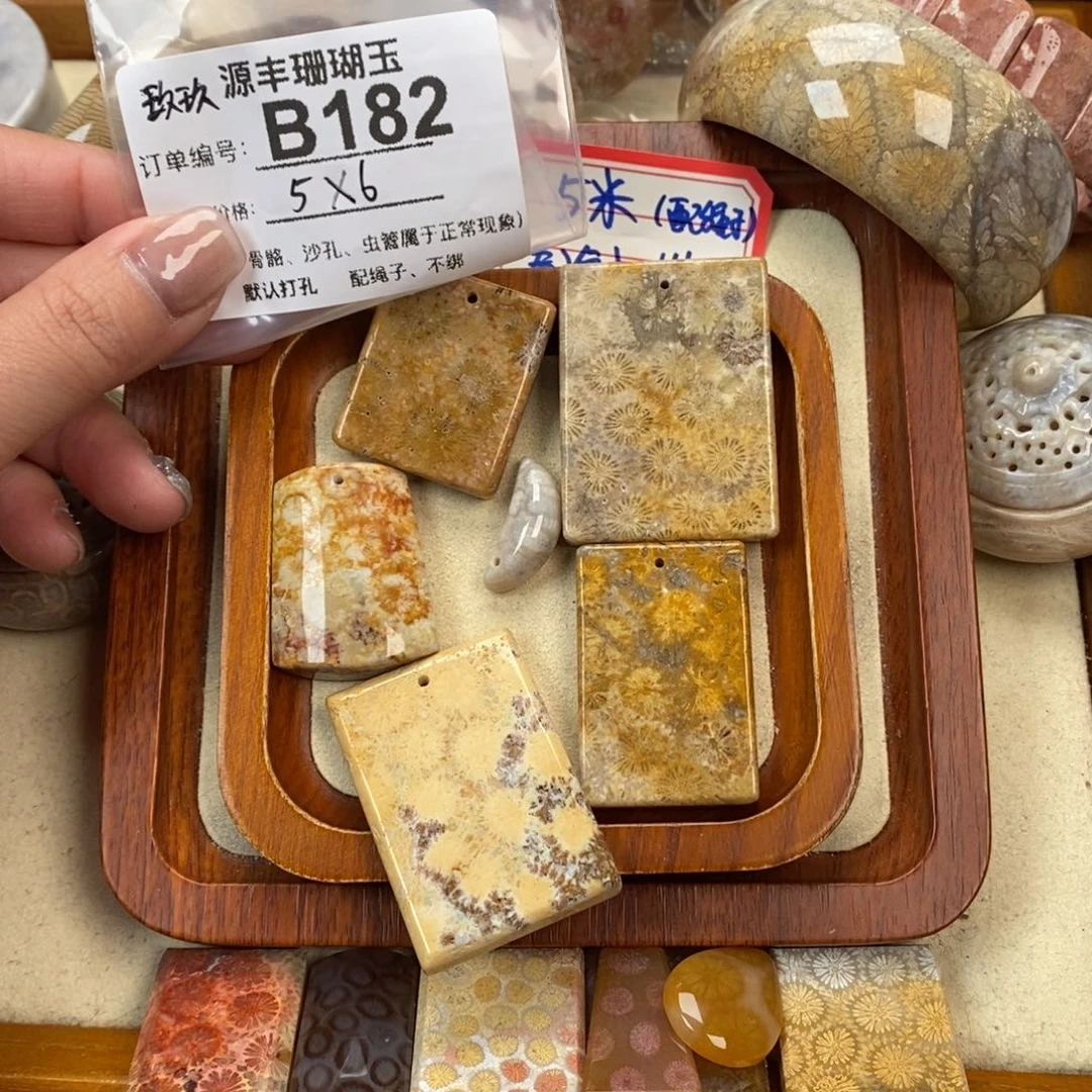 硅化玉颈饰未镶嵌玖*