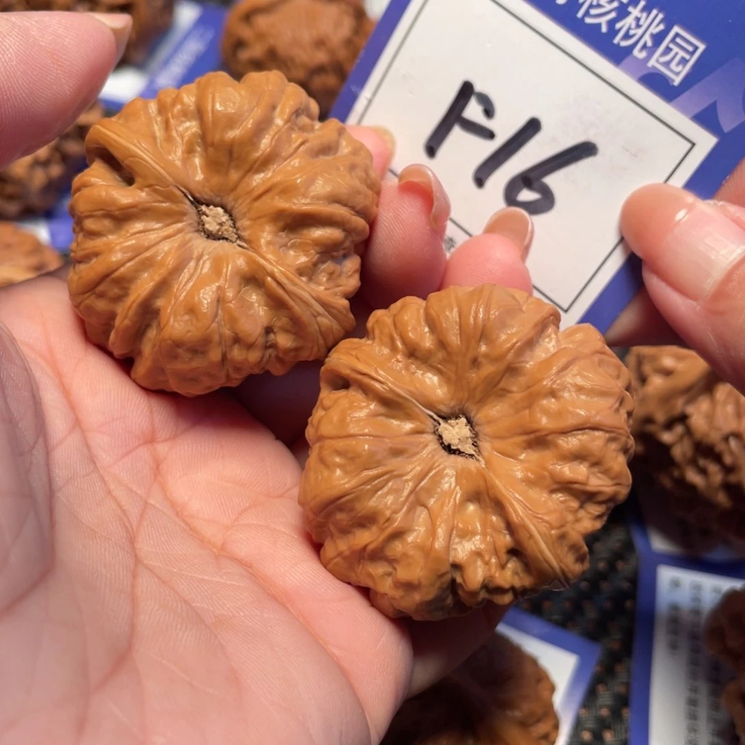 桃核把件16号蛤蟆42尺