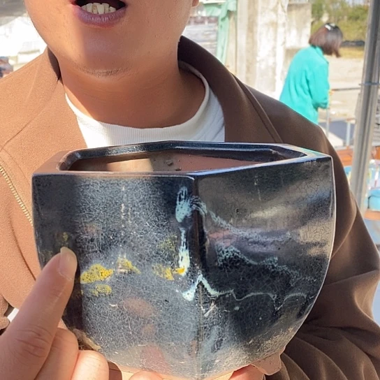 瑕疵颜色不挑瑕疵