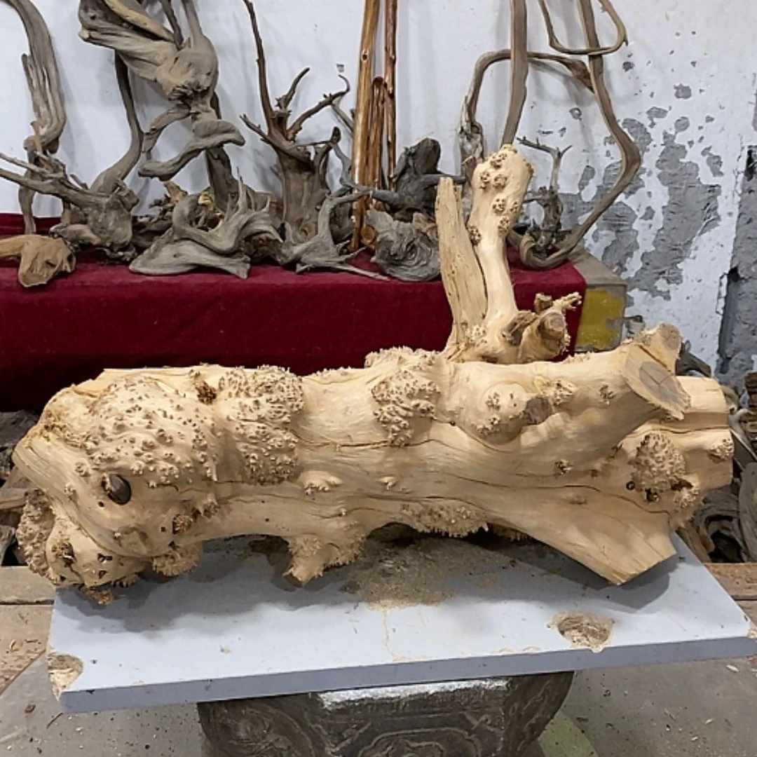 【闪购商品】柏木上****啦我们都是好孩子