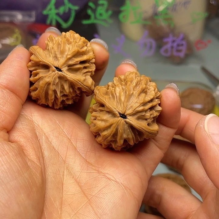 招财鼠开播福利啦