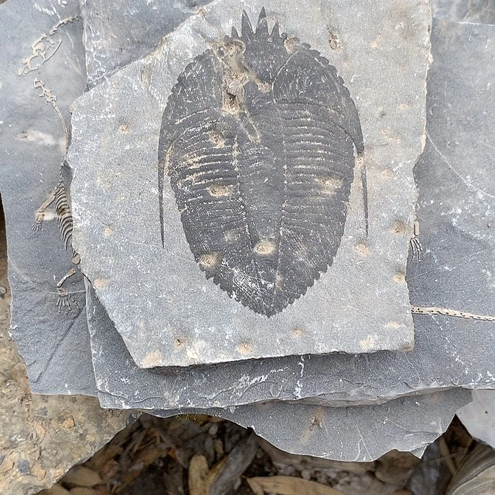 石材贵州石头工艺品摆件