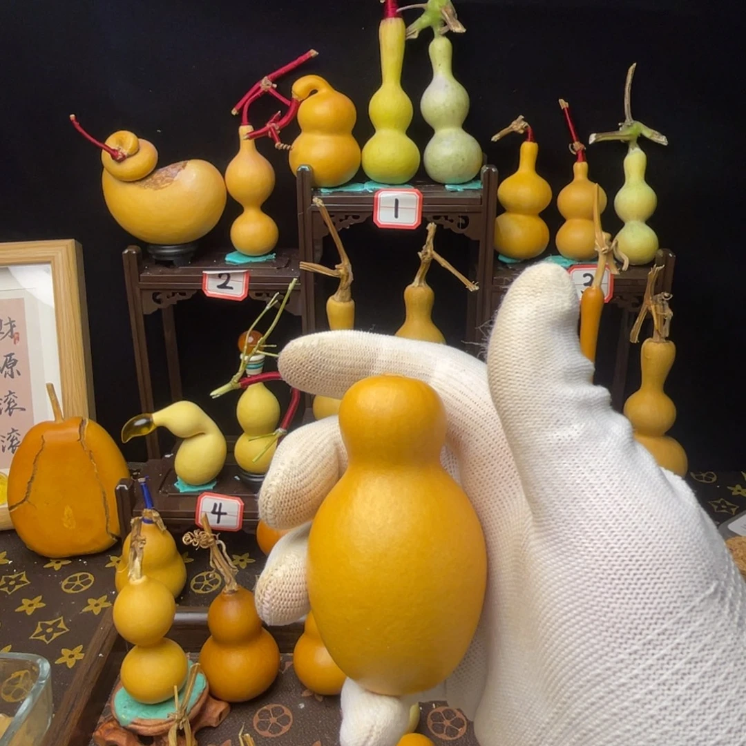 茉****中国大陆葫芦2233333