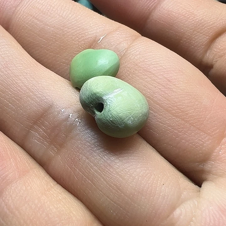 绿松石未镶嵌爱心弦**月