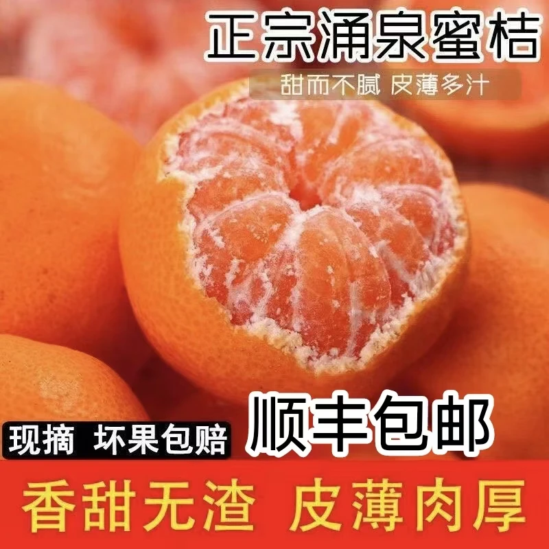 《小金专属》浙江正宗临海涌泉蜜桔宫川新鲜当季水果鲜甜无核无渣浙江省