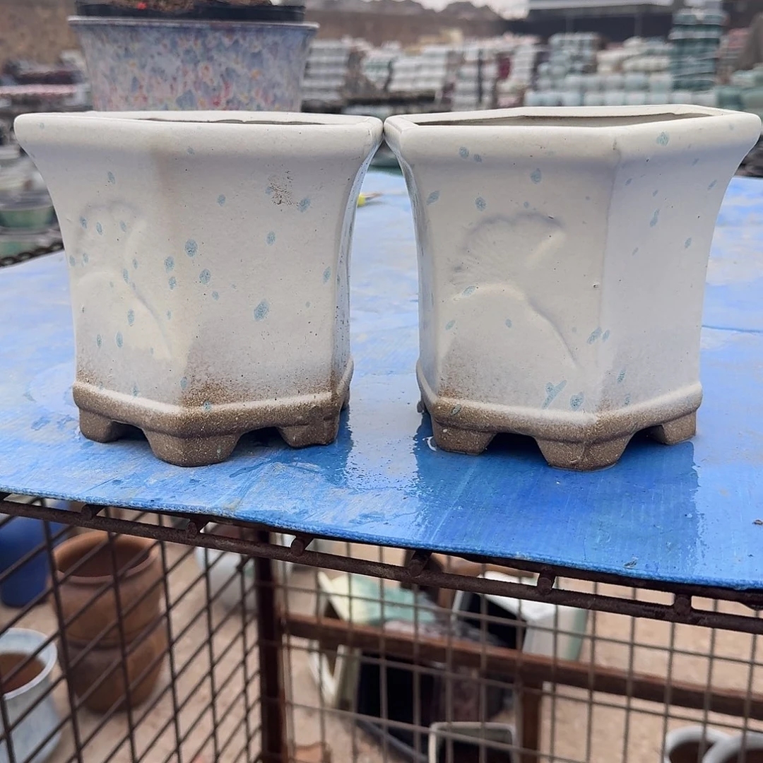 口径16高度16正品